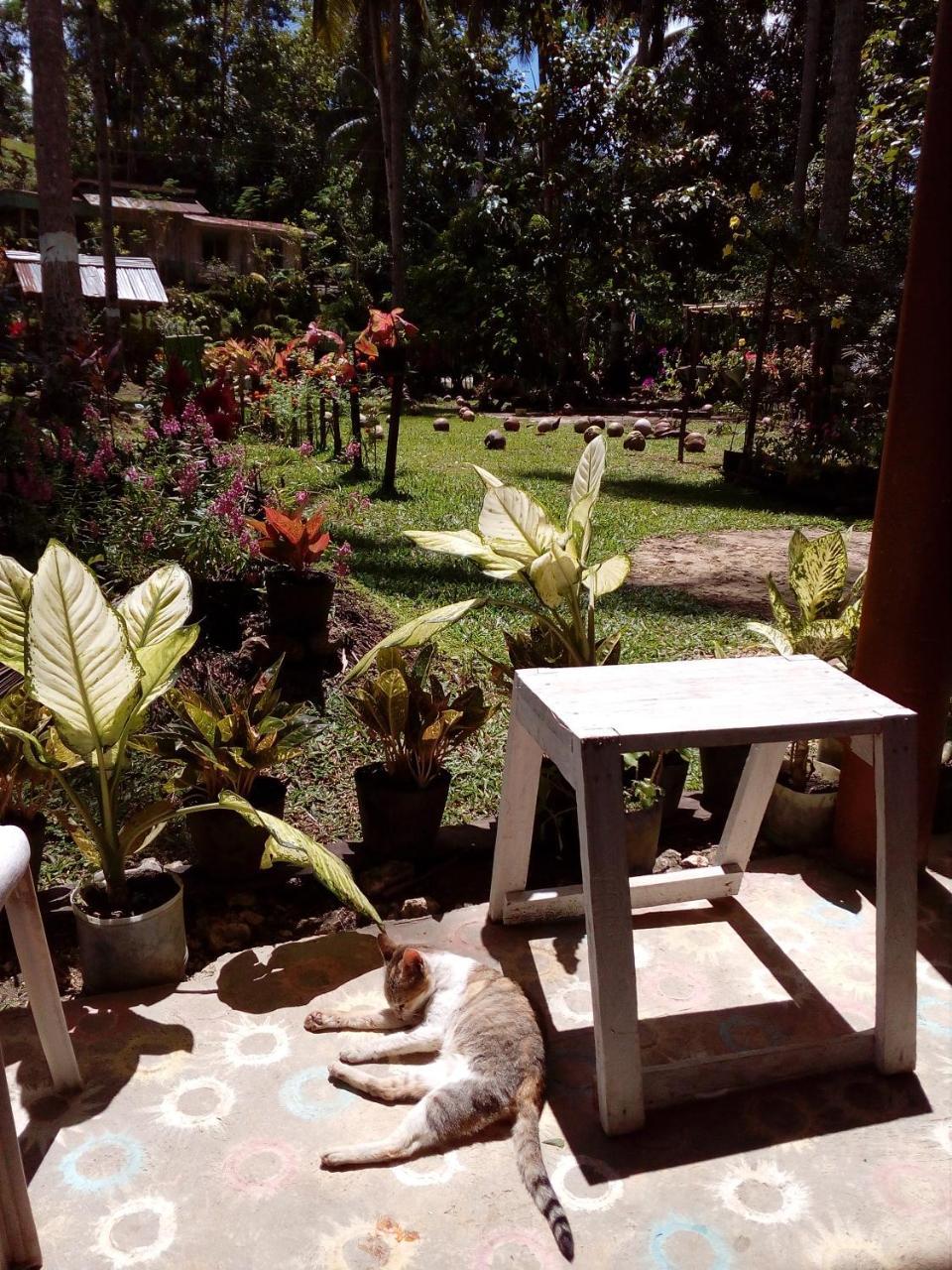 Batuan Hammock Hostel Dış mekan fotoğraf